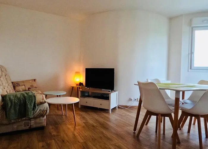 Appartement Cosy Joue-Les-Tours